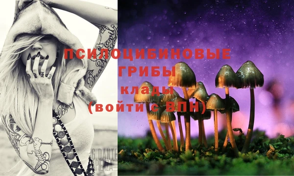 экстази Михайловка