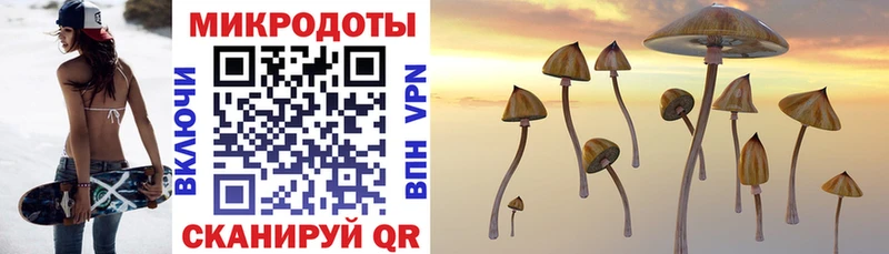 Купить  Рыбинск  Галлюциногенные грибы Magic Shrooms 